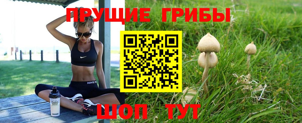 Галлюциногенные грибы мухоморы  Псилоцибиновые грибы Psilocybine cubensis  Белорецк  Вход с VPN 